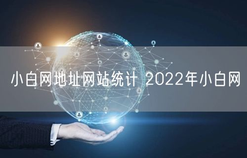 小白网地址网站统计 2022年小白网