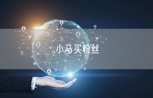 小马买粉丝