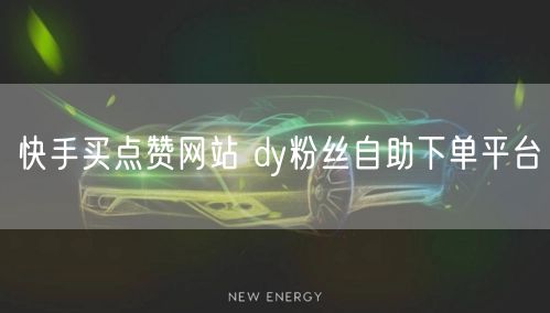 快手买点赞网站 dy粉丝自助下单平台