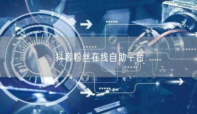 抖音粉丝在线自助平台