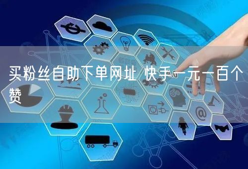 买粉丝自助下单网址 快手一元一百个赞
