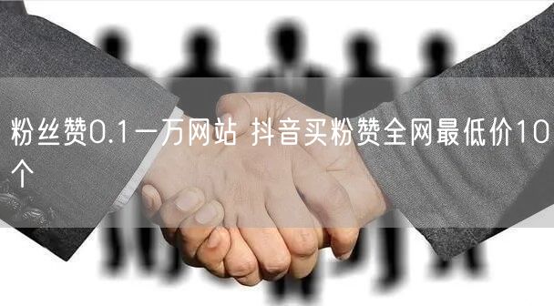 粉丝赞0.1一万网站 抖音买粉赞全网最低价10个