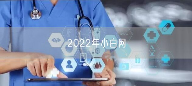 2022年小白网
