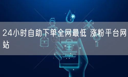 24小时自助下单全网最低 涨粉平台网站