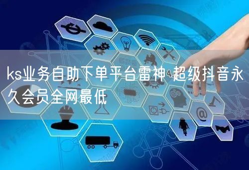 ks业务自助下单平台雷神 超级抖音永久会员全网最低