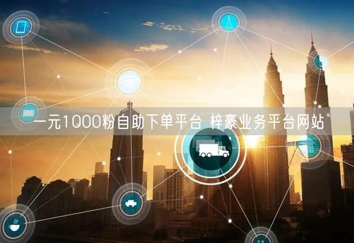 一元1000粉自助下单平台 梓豪业务平台网站