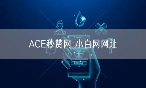 ACE秒赞网 小白网网址