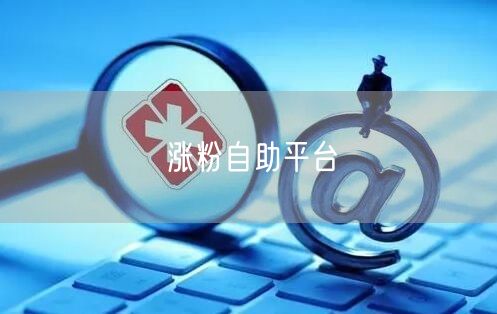 涨粉自助平台