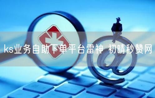 ks业务自助下单平台雷神 初晴秒赞网