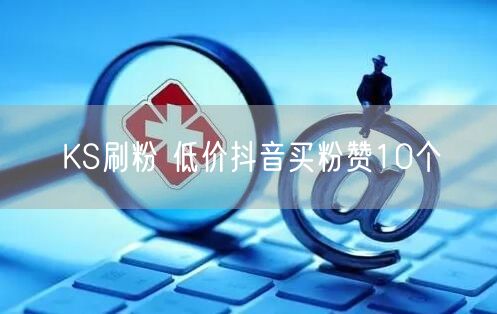 KS刷粉 低价抖音买粉赞10个