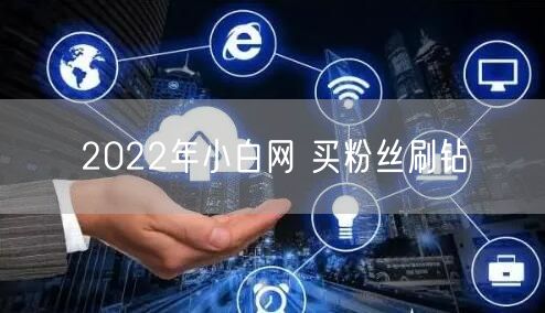2022年小白网 买粉丝刷钻