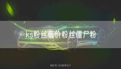 ks粉丝低价粉丝僵尸粉