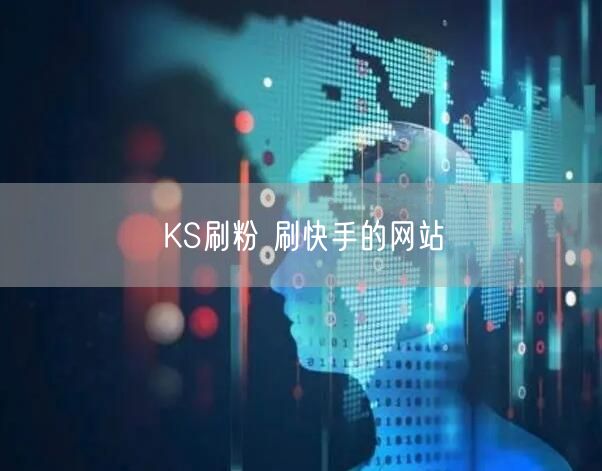KS刷粉 刷快手的网站
