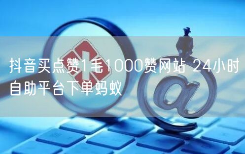 抖音买点赞1毛1000赞网站 24小时自助平台下单蚂蚁