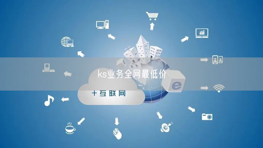 ks业务全网最低价