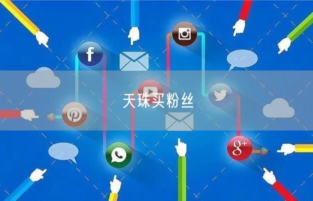 天珠买粉丝