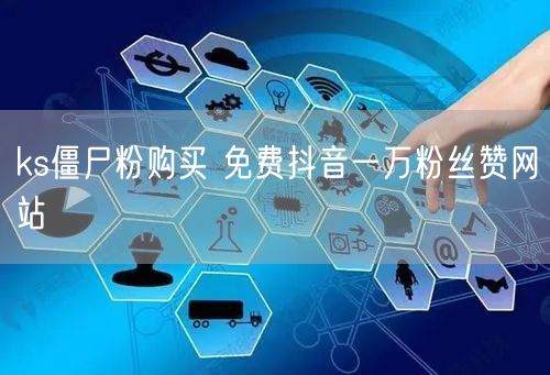 ks僵尸粉购买 免费抖音一万粉丝赞网站