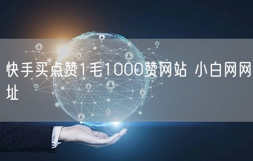 快手买点赞1毛1000赞网站 小白网网址