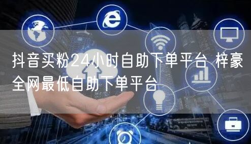 抖音买粉24小时自助下单平台 梓豪全网最低自助下单平台