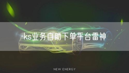 ks业务自助下单平台雷神
