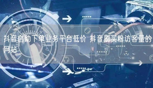 抖音自助下单业务平台低价 抖音刷买粉访客量的网站