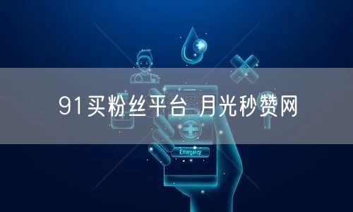 91买粉丝平台 月光秒赞网