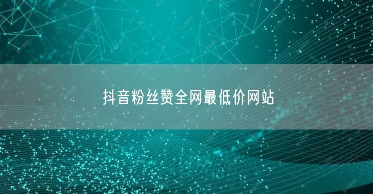 抖音粉丝赞全网最低价网站