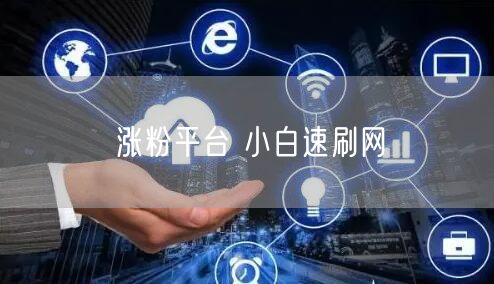 涨粉平台 小白速刷网