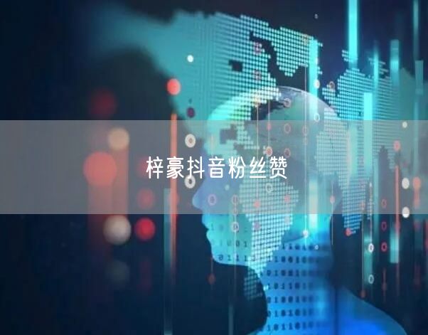 梓豪抖音粉丝赞