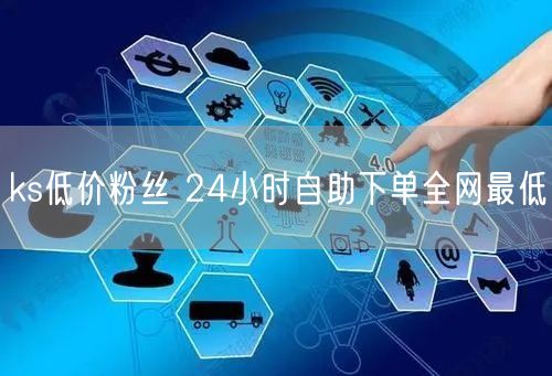 ks低价粉丝 24小时自助下单全网最低