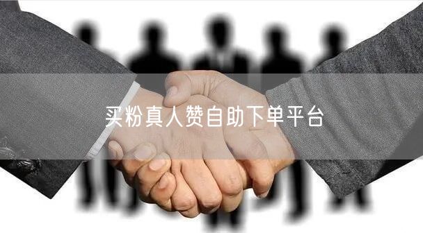 买粉真人赞自助下单平台