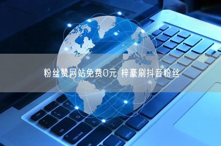 粉丝赞网站免费0元 梓豪刷抖音粉丝