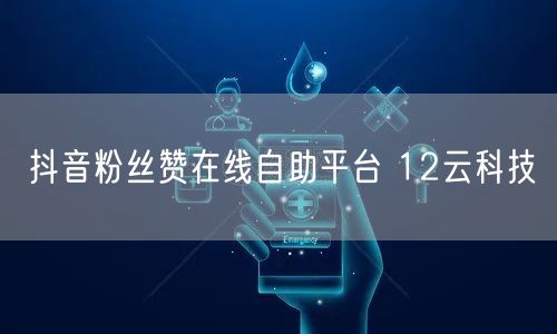抖音粉丝赞在线自助平台 12云科技
